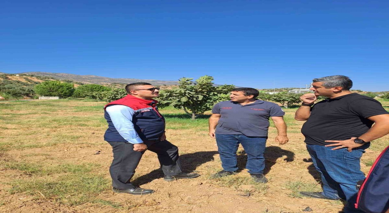 Köşkte tarımsal zararlılarla mücadele için sahaya indiler