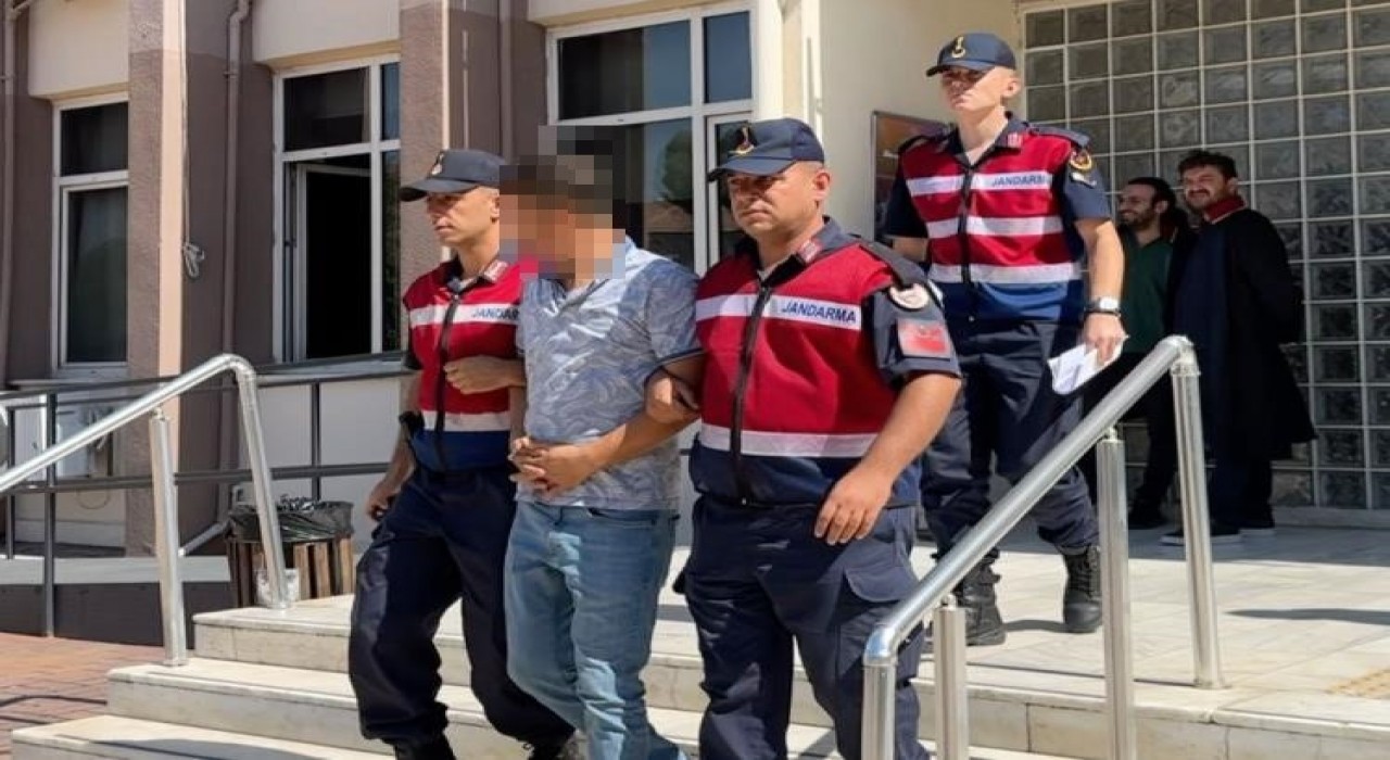 Köşkte yaşlı kadına çarpan sürücü tutuklandı