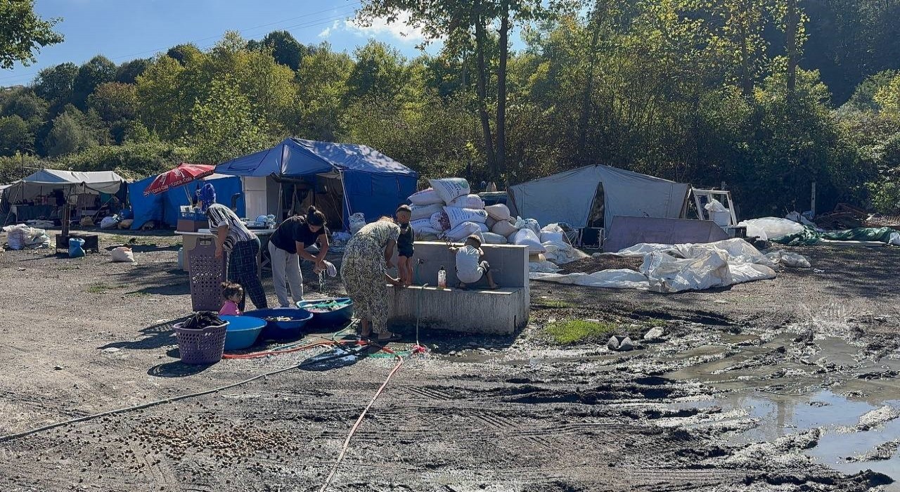 Köy köy dolaşıp boş fındık avına çıkıyorlar