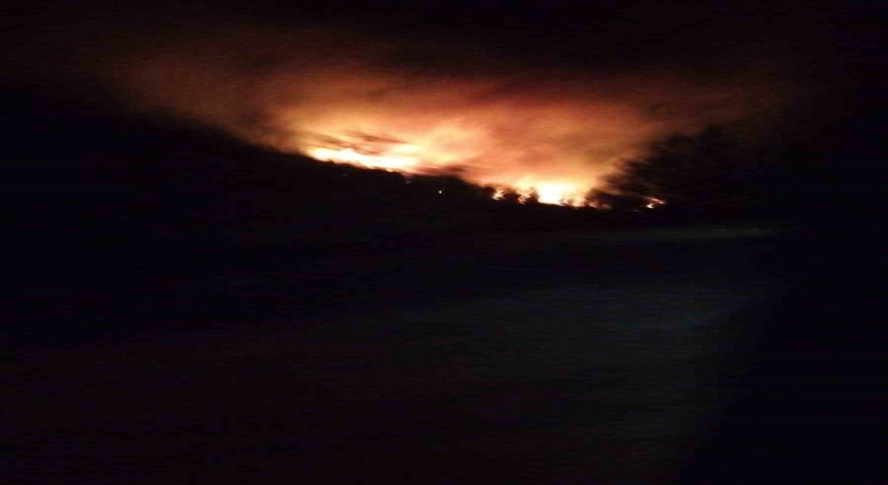 Köyceğizde orman yangını