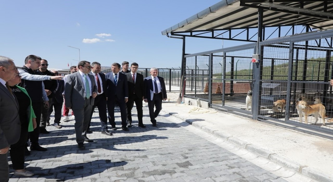 Kütahya Valisi Işından Şaphanede yapımı tamamlanan hayvan barınağında inceleme
