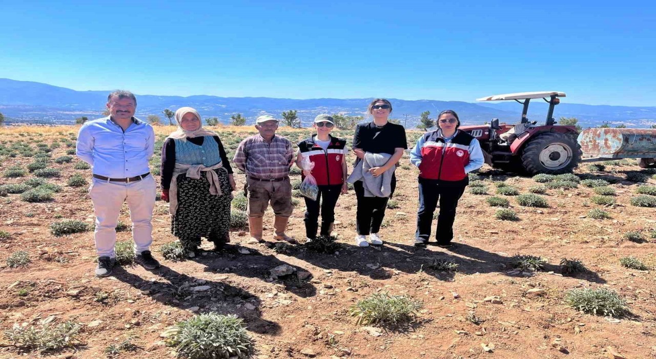 Kütahyada ürünlerin organik geçiş sertifikasyon işlemleri için parsel kontrolleri ve numune alımları