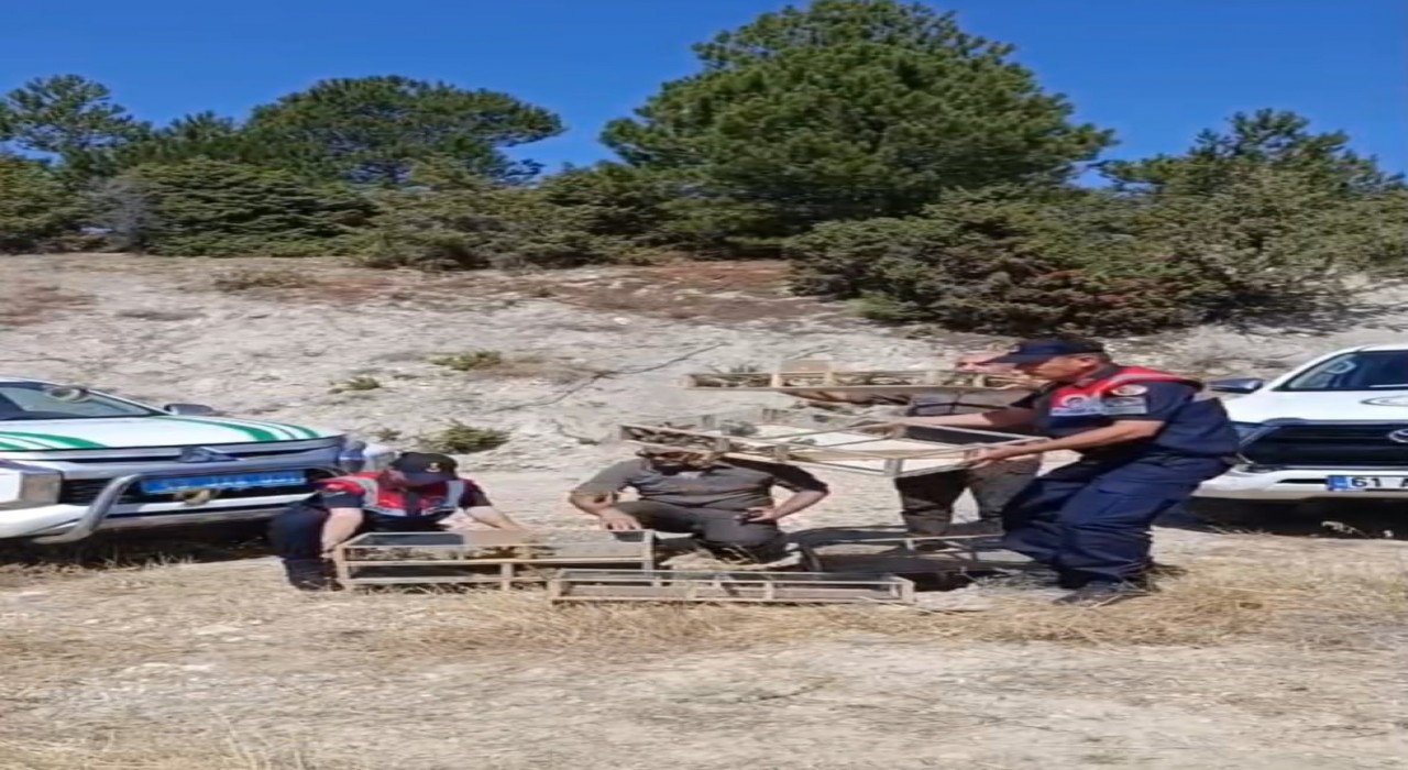 Kütahyada yakalanan 142 saka kuşu doğaya salındı