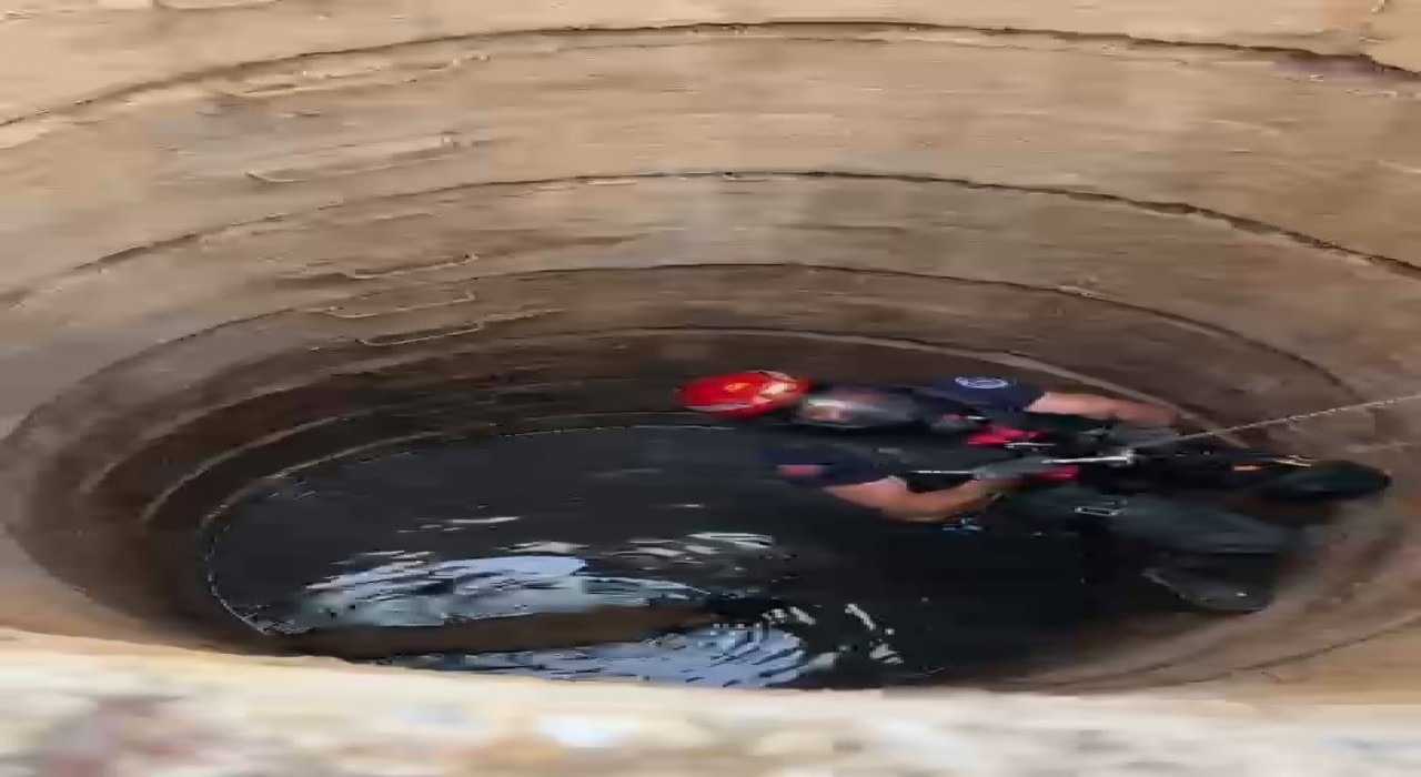 Kuyuya düşen köpek böyle kurtarıldı