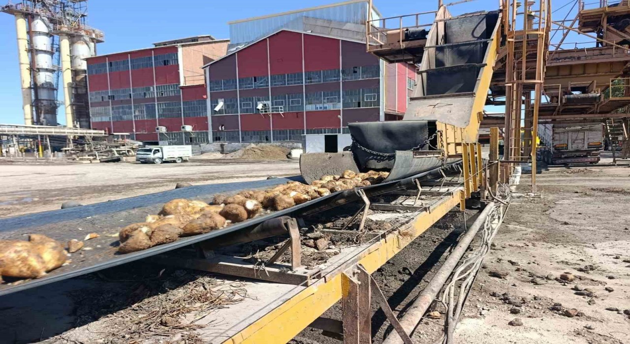 Malatya Şeker Fabrikasında 62 bin ton şeker üretimi hedefleniyor
