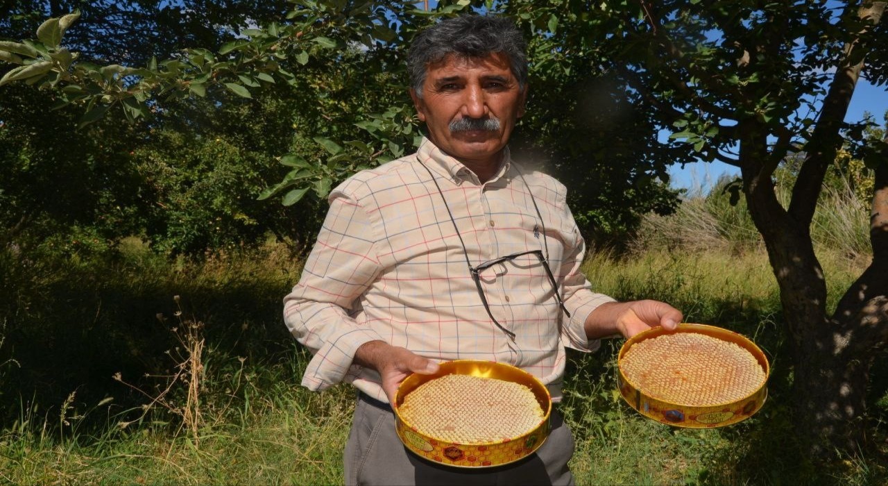 Malatyada bal hasadı başladı
