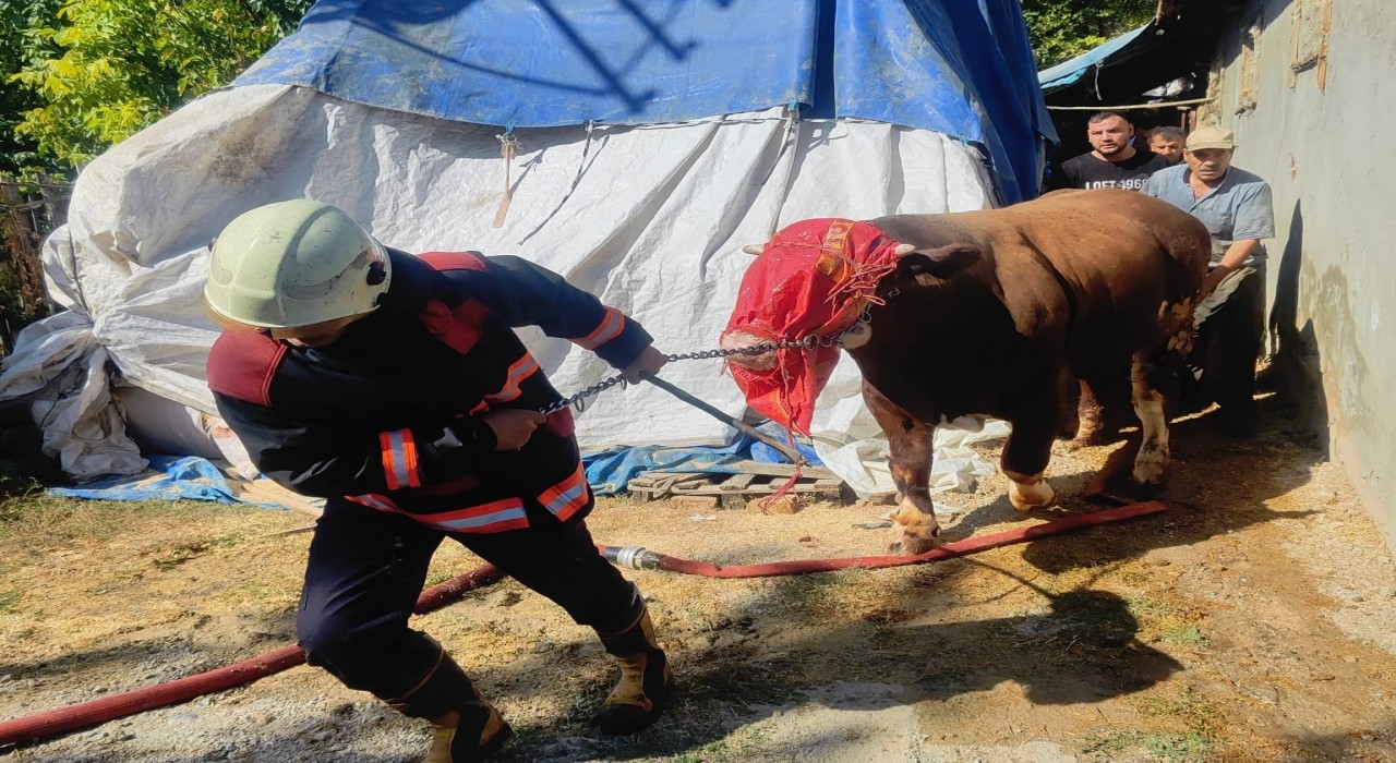 Malatyada korkutan ahır yangını