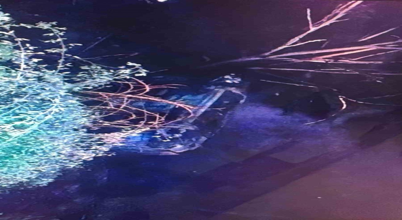 Malatyada şarampole yuvarlanan araç alev aldı: 1 yaralı