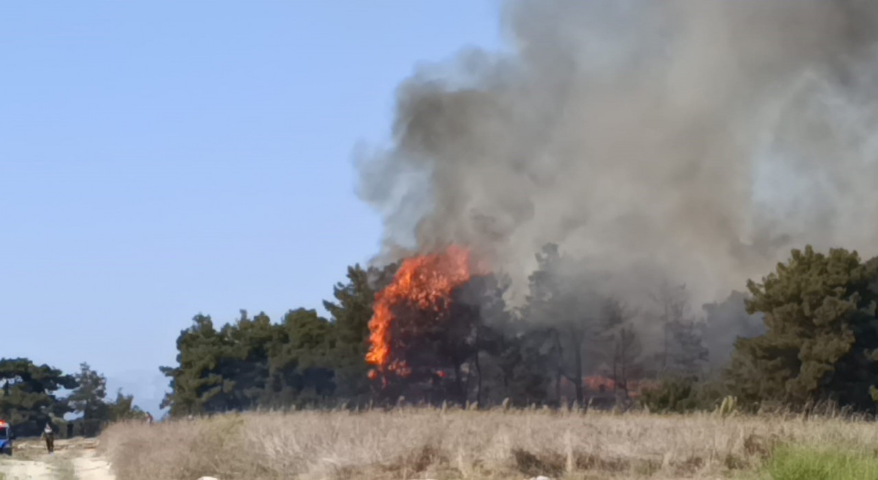Manavgatta arazide başlayan yangın ormanlık alana sıçradı