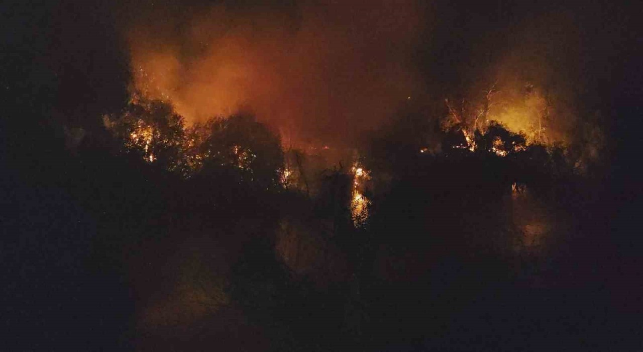 Manavgatta ırmak kenarındaki yangın korkuttu