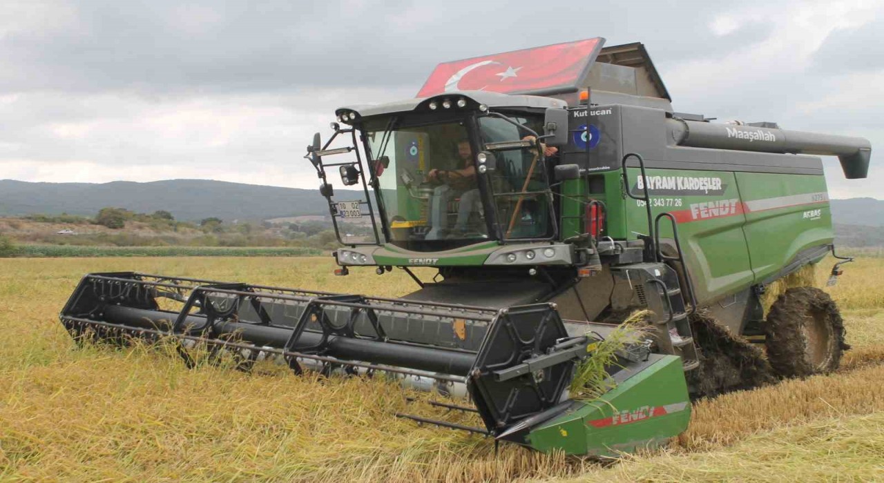 Manyas Ovasında çeltik hasadı başladı