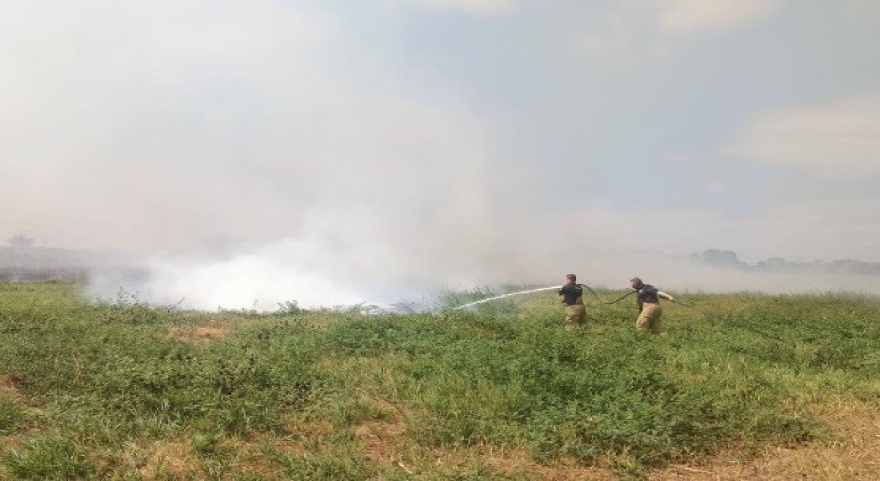 Manyas ve Bandırma arasında sazlık alanda yangın çıktı