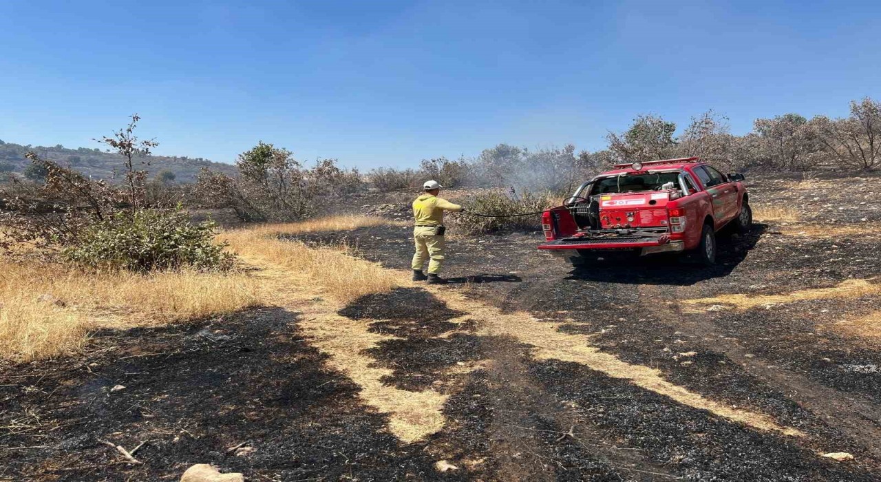Mardinde çıkan orman yangını söndürüldü