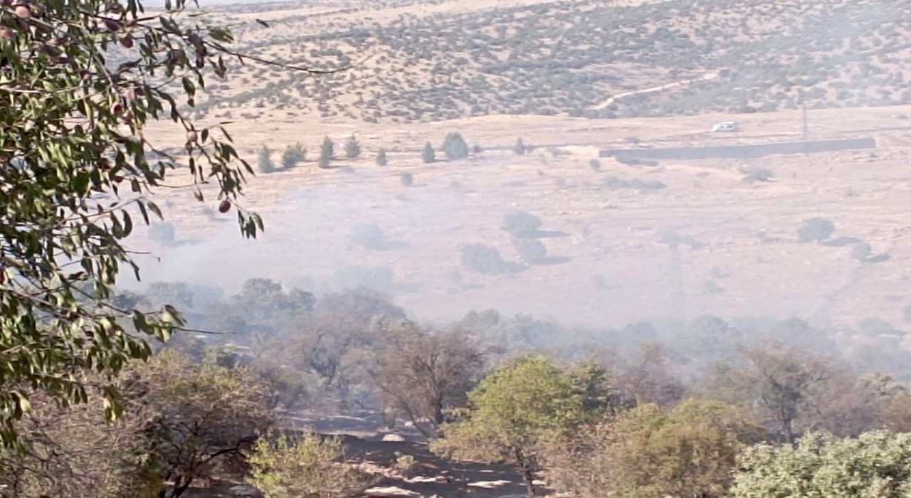 Mardinde çıkan orman yangını söndürüldü