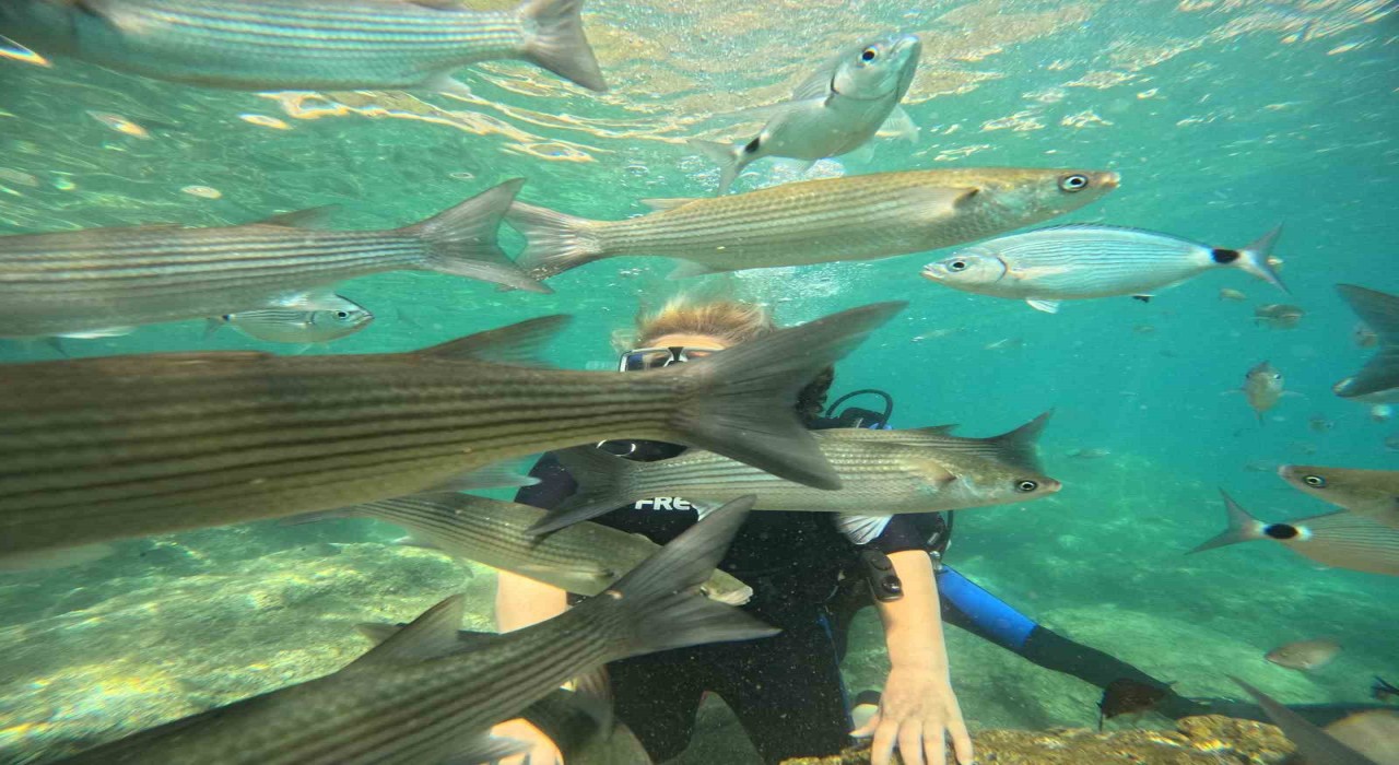 Marmariste dalış turizmine yoğun ilgi