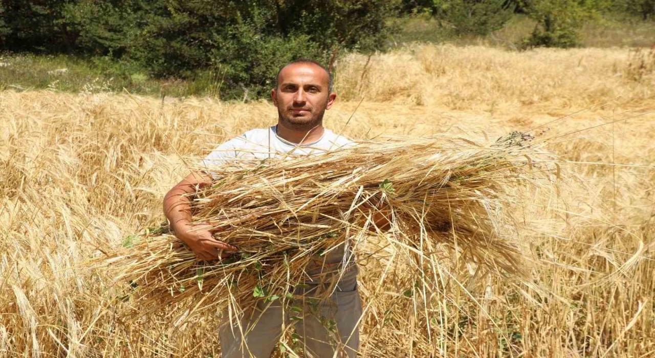 Megakenti bırakıp Orduda  tarıma yöneldi: 200 dönüm atıl araziyi tarıma kazandırdı