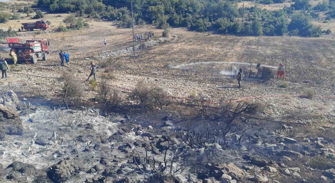 Menteşede çıkan yangın kontrol altına alındı