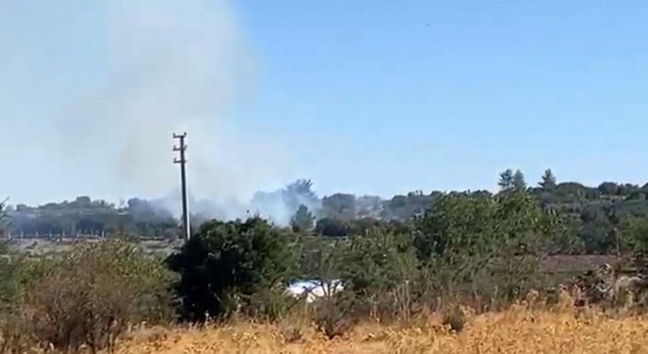 Menteşede makilik alan yangını