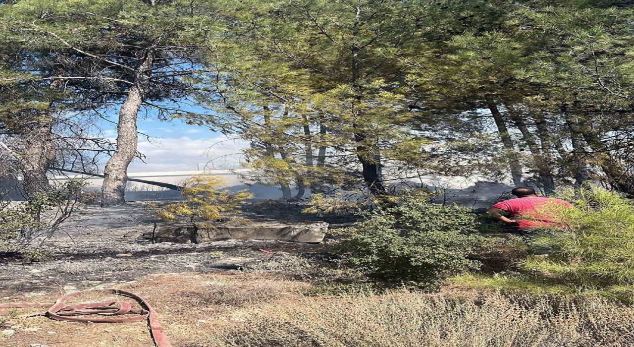 Menteşedeki yangın kısa sürede söndürüldü