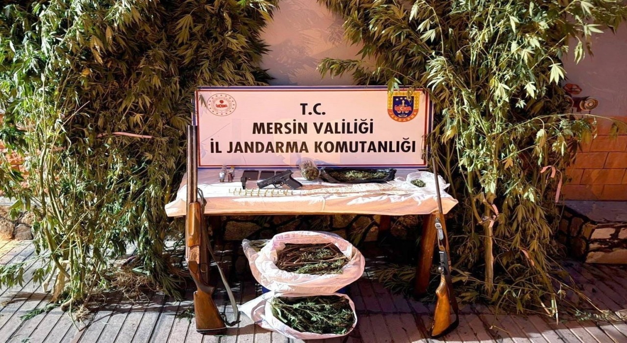 Mersinde bahçelerine kenevir eken 3 şüpheli yakalandı