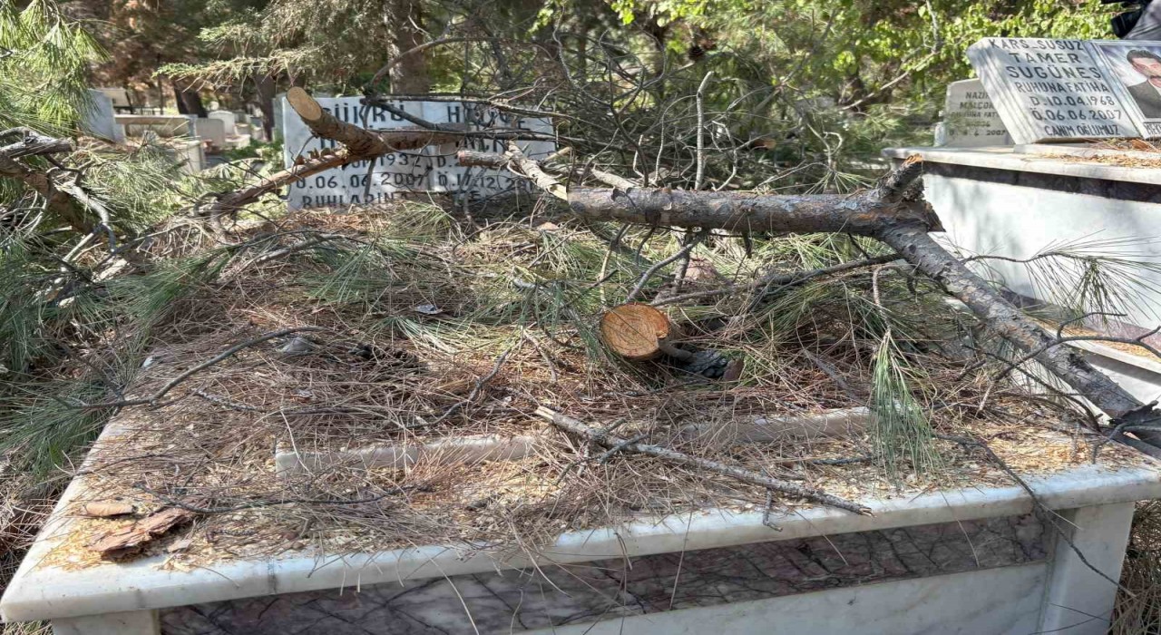 Mezarlıkta budanan ağaçlar kabirlere zarar verdi
