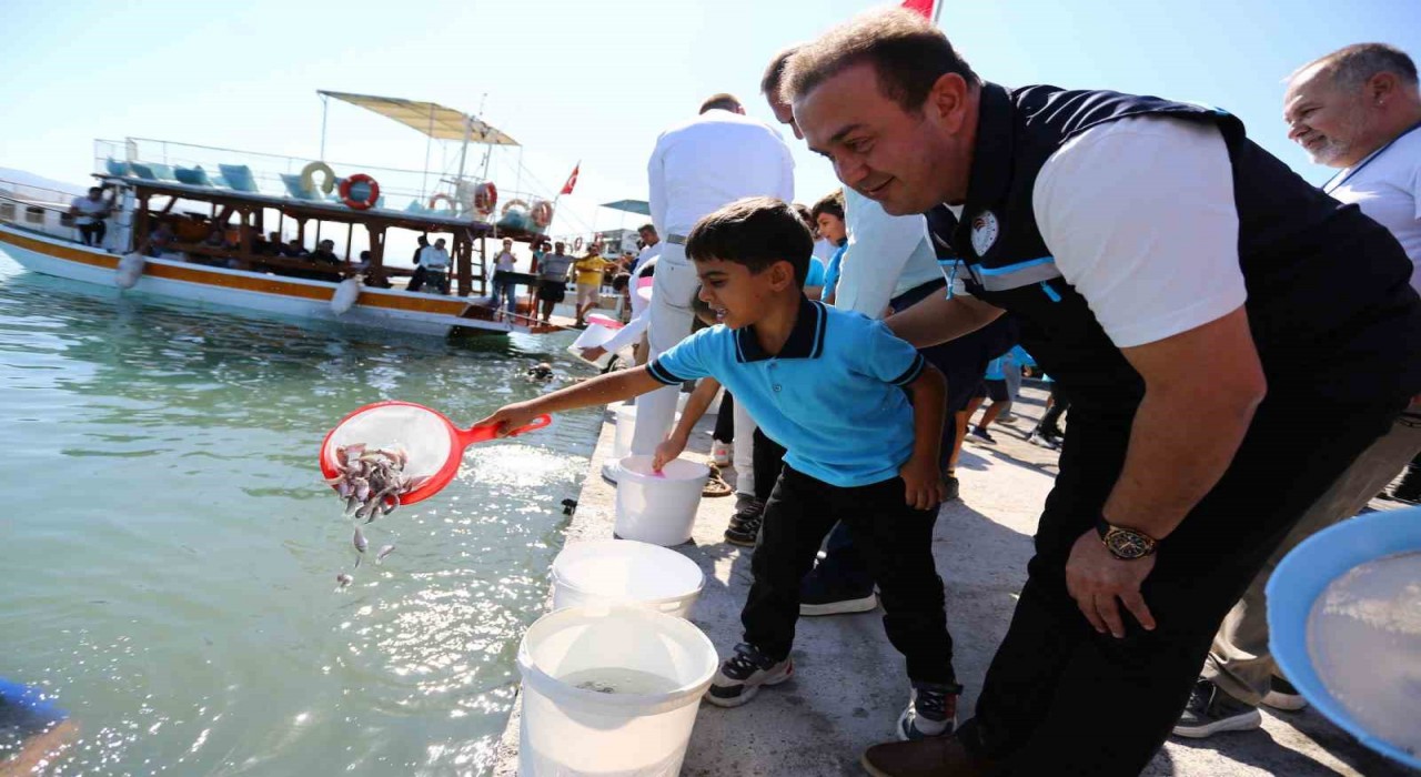 Milas Boğaziçine 150 bin çipura ve 10 bin levrek yavrusu bırakıldı