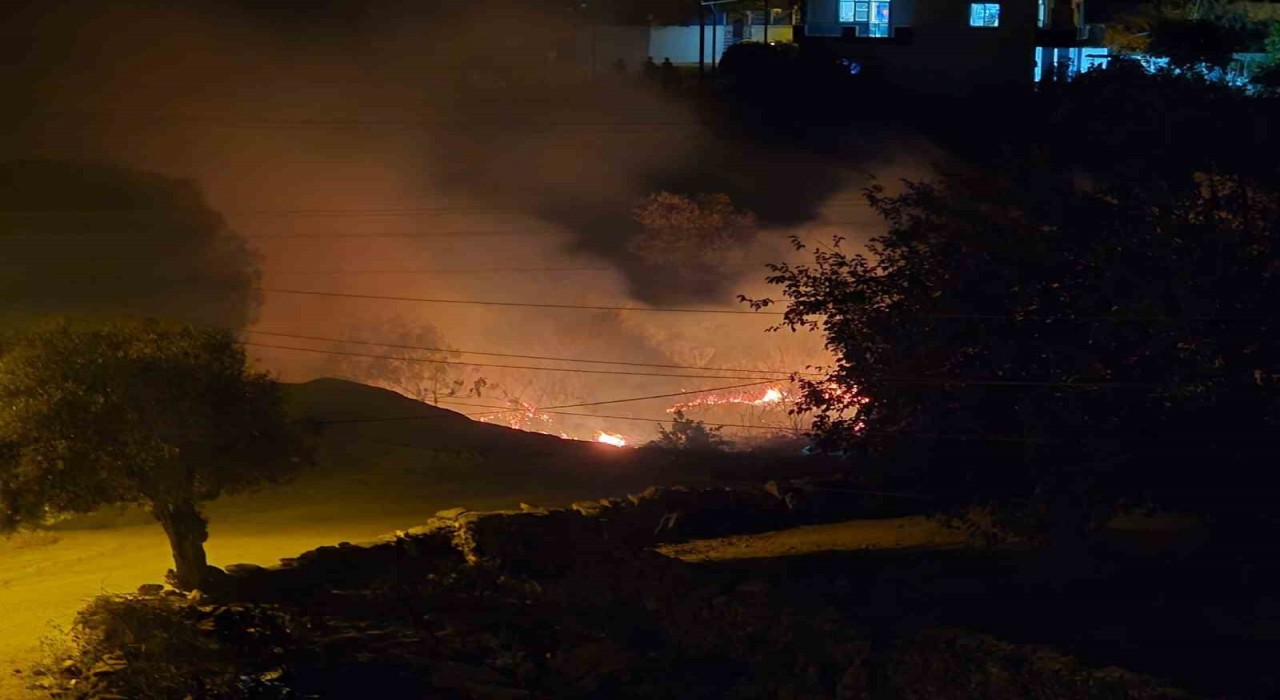 Milasta çıkan sazlık yangını hızlı müdahaleyle kontrol altına alındı