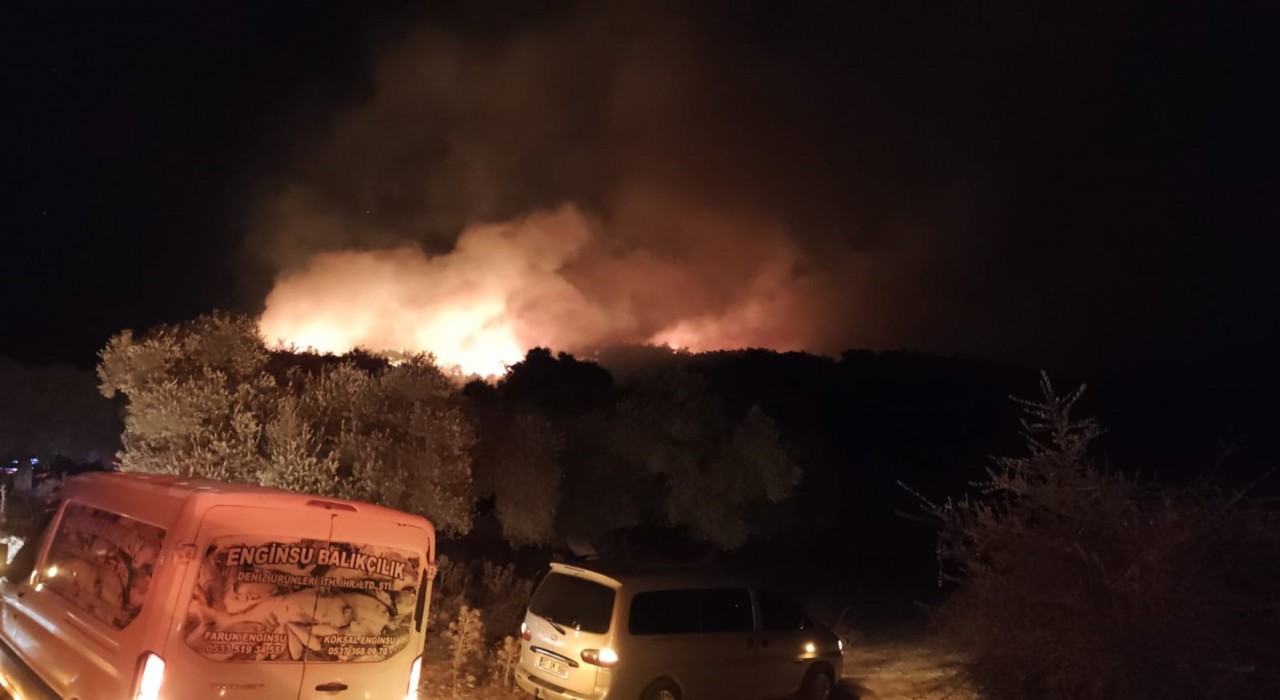 Milasta orman yangını