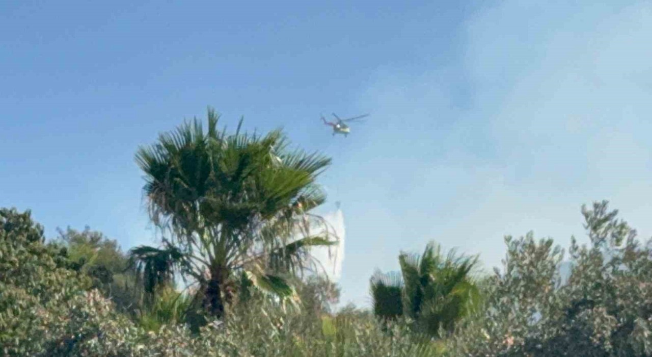 Muğlada ekipler 3 bölgede alevlerle mücadele ediyor