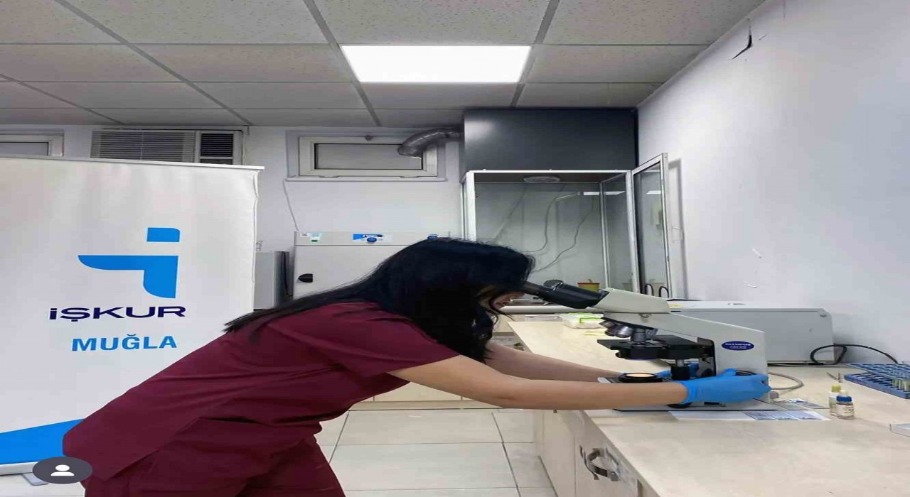 Muğlada Kadın İstihdamında Artış