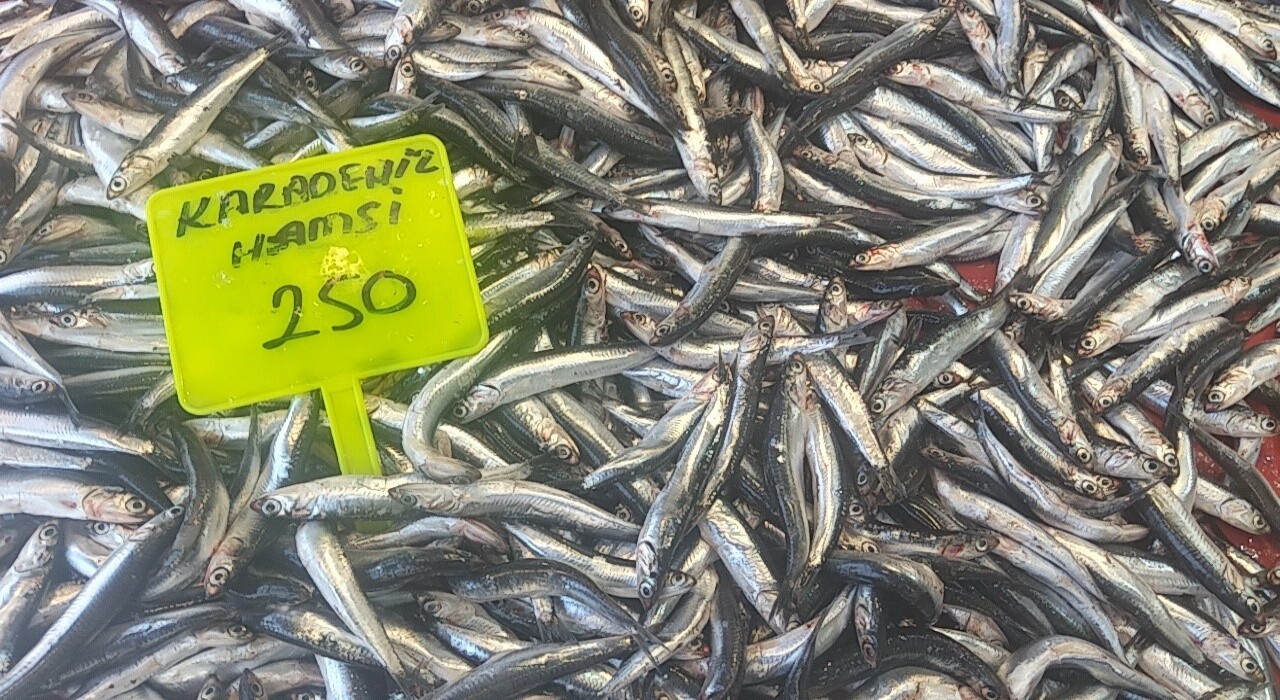 Muğlada Karadeniz hamsisi kilosu 250 TLden satışta