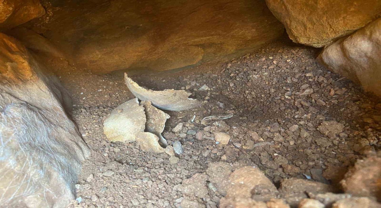 Muğlada su deposu çalışmalarında tarihi eserler bulundu, alan koruma altına alındı