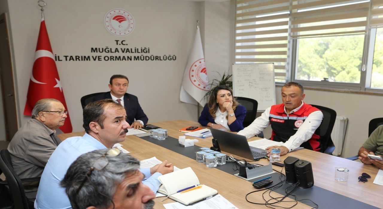 Muğlada zeytin rekolte tahmini toplantısı yapıldı