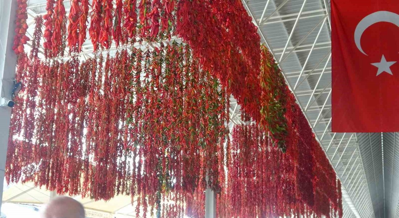 Muğlanın Menteşe ilçesinde kurutmalıklar yurt dışına açıldı