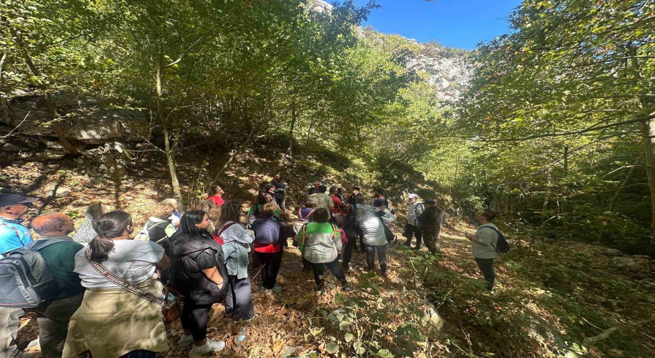 Mysia Yollarında Alzheimera karşı farkındalık yürüyüşü