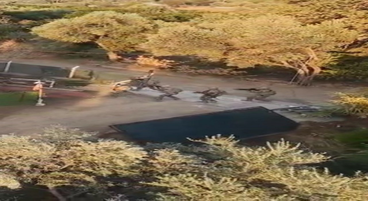 Nazillide uyuşturucu operasyonu: 7 gözaltı