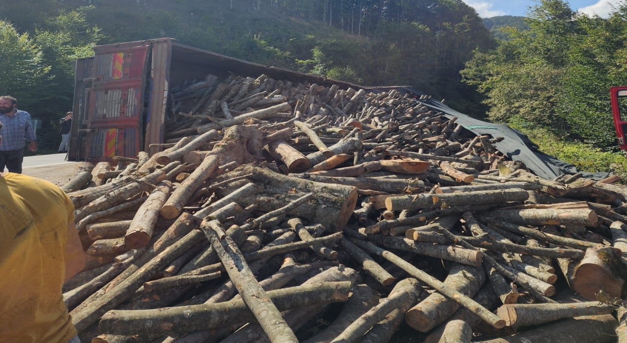 Orduda tomruk kamyonu devrildi: 21 ton tomruk yola saçıldı