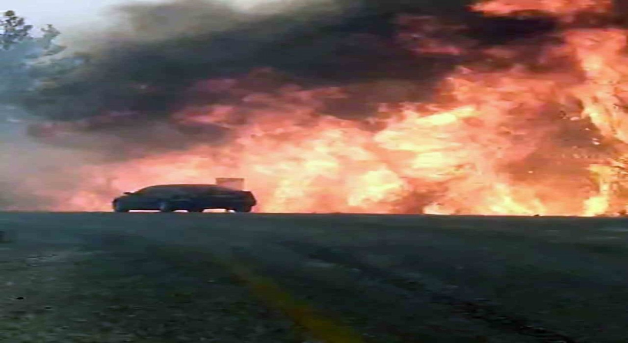 Orman yangınında araç alevlerin arasında kadı