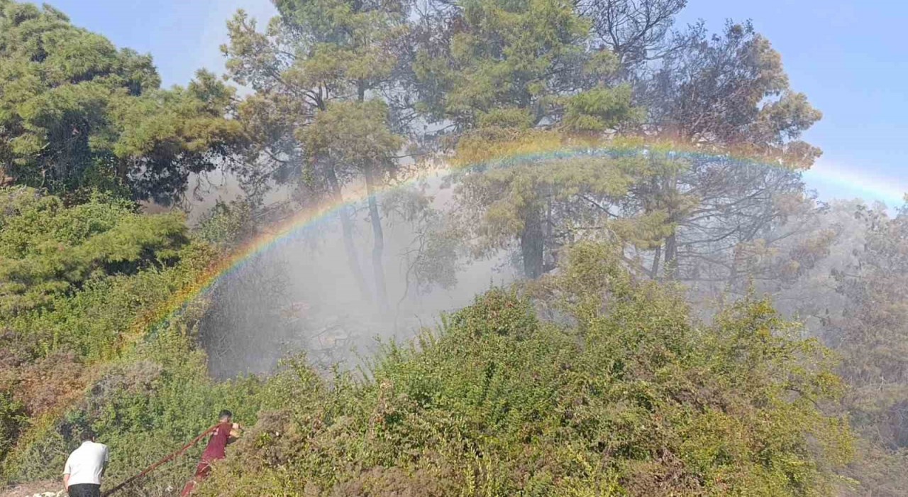 Orman yangınında uçaktan atılan su gökkuşağı oluşturdu