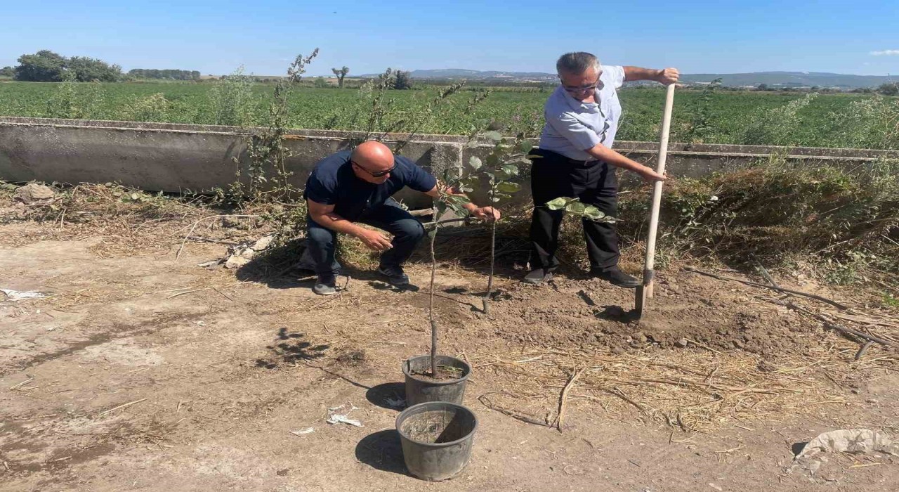 Orman yangınlarında kaybedilen her ağaç yerine 10 fidan