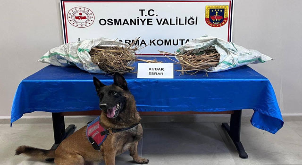 Osmaniye ve 74 İlde Uyuşturucu Operasyonu: 1.811 Şüpheli Yakalandı