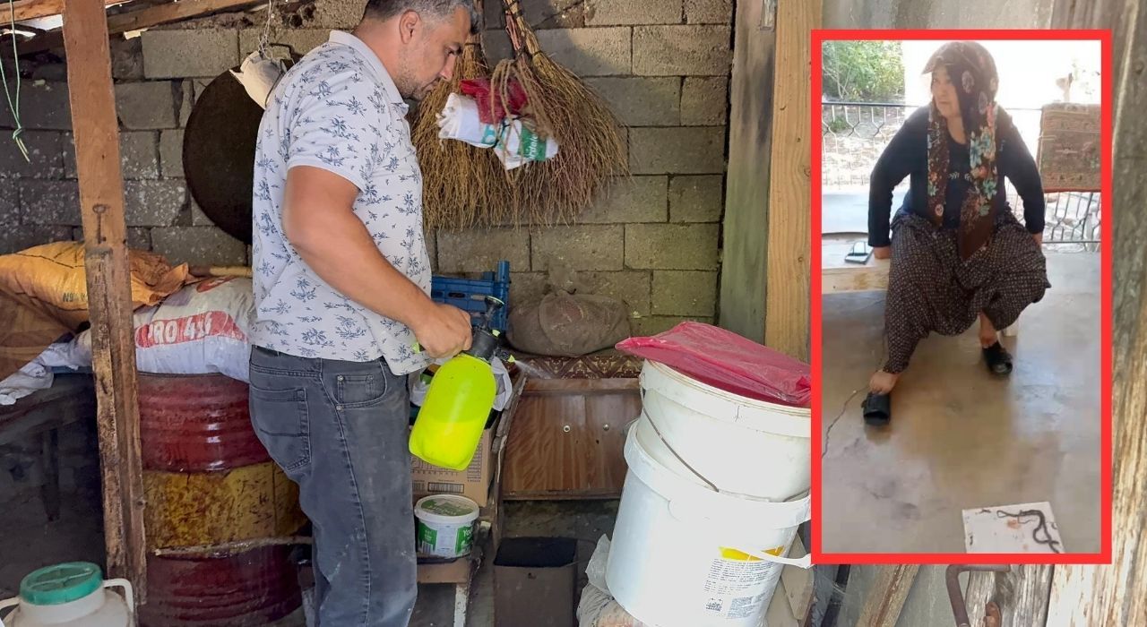 Osmaniye’de Evinde Yılanlarla Karşılaşan Kadın Panik Yaşadı