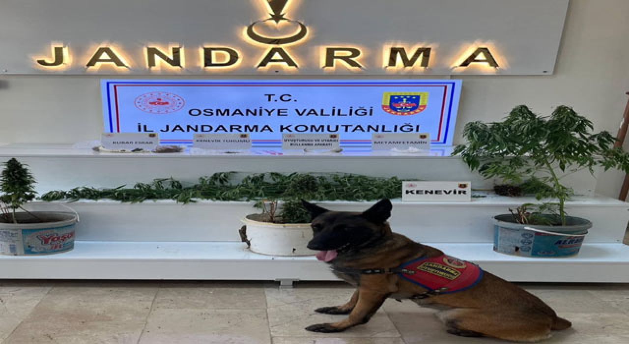 Osmaniye’de Jandarma Operasyonları: 1 Haftada 124 Şüpheli Yakalandı