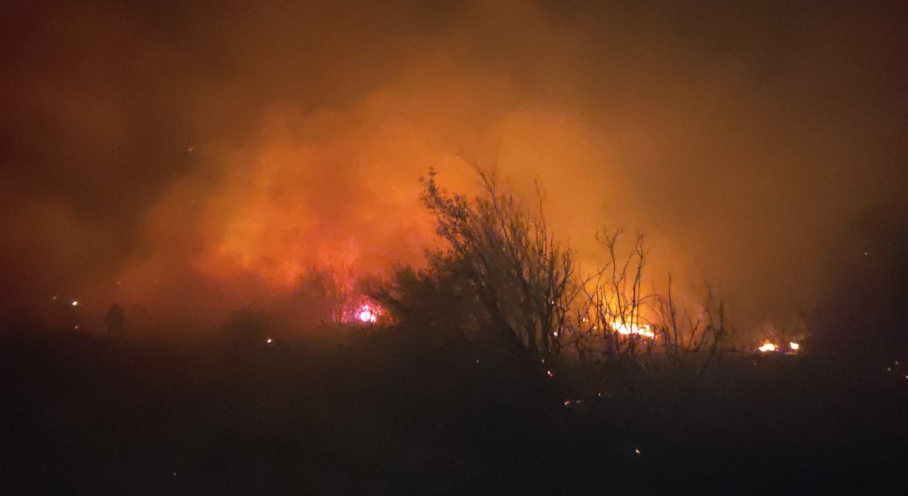Osmaniyede makilik yangını söndürüldü