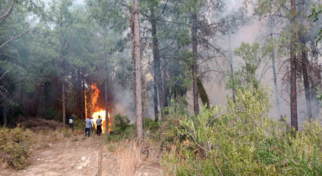 Osmaniyede orman yangını başladı