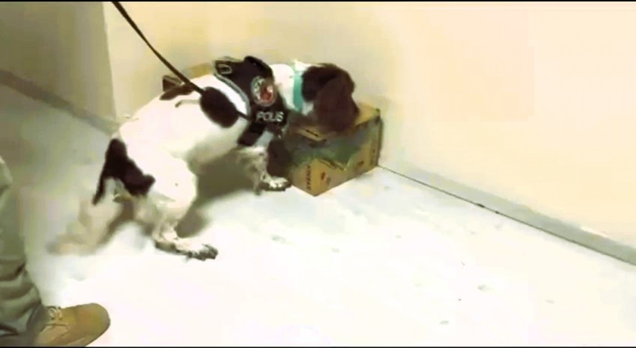 Otobüsle getirdiği 4,5 kilo uyuşturucuyu satamadan yakalandı