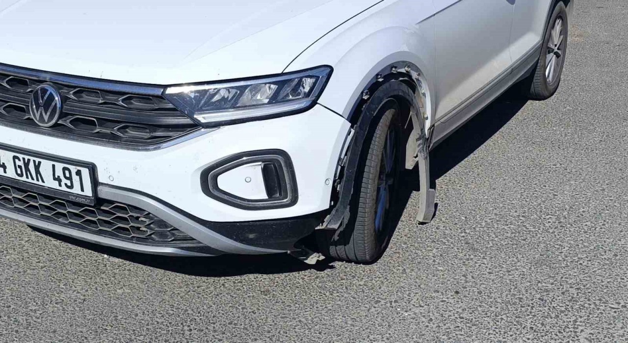 Otomobilin çarptığı köpek telef oldu