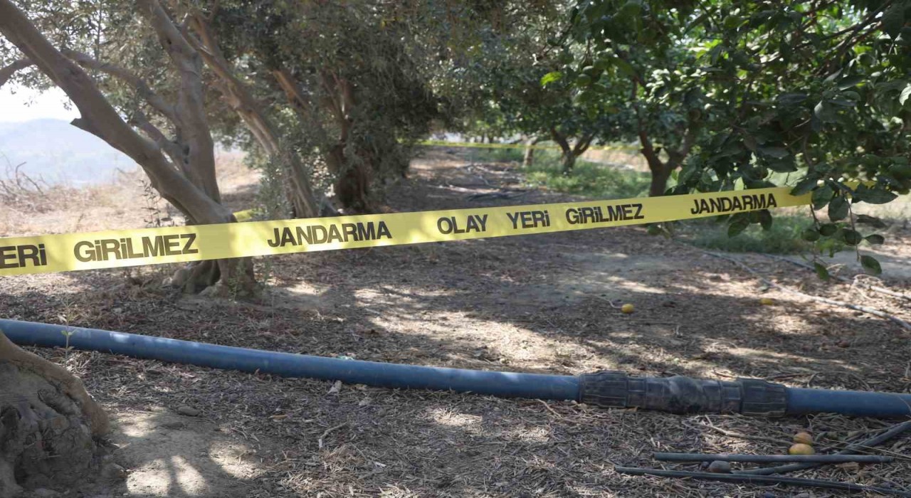 Para için arkadaşını narenciye bahçesinde satırla doğrayan şahıs yakalandı