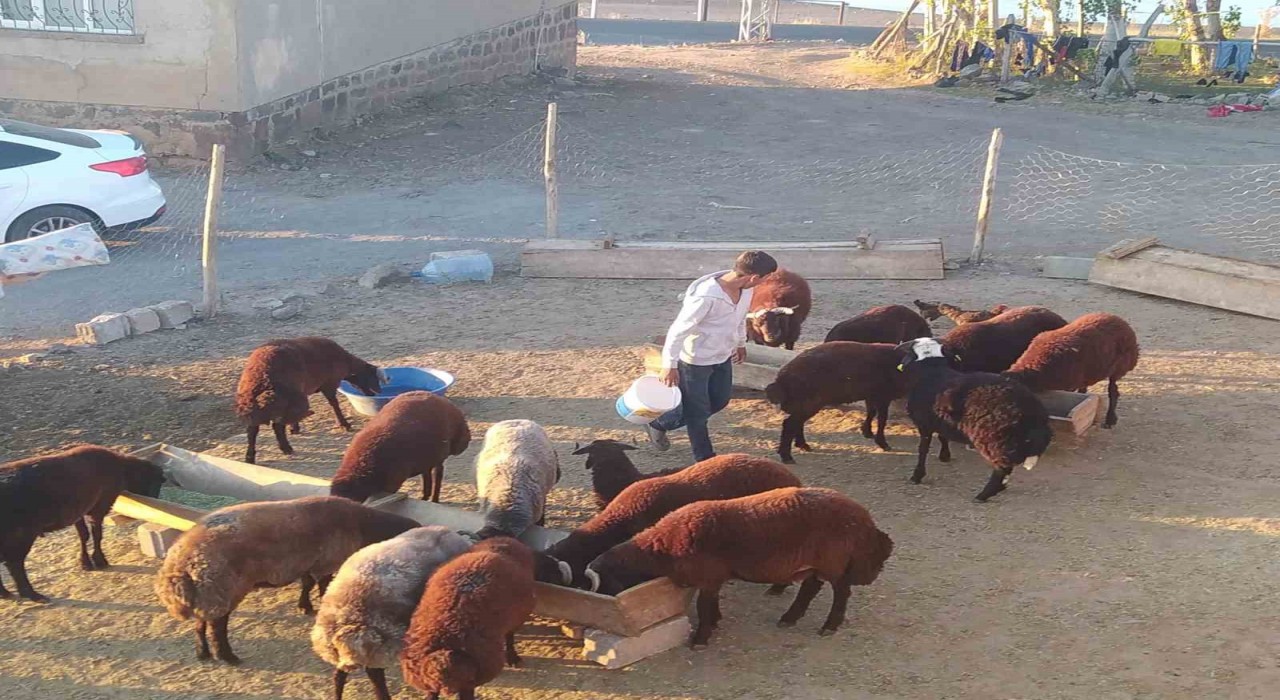 Patnosta besiciler kış hazırlığını sürdürüyor