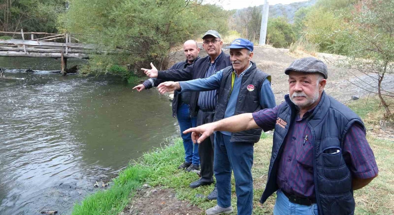 Porsuk Çayındaki kirlilik köylüleri mağdur ediyor